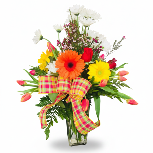 The Springtime Splash Vase features a clear glass vase filled with daisies, gerberas, tulips, and greenery in red, yellow, pink, and white, accented with a plaid bow. Hand-arranged by The Florist at Plantation in Clayton.