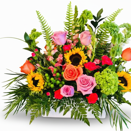 Garden Cheer is a vibrant floral arrangement with pink and orange roses, sunflowers, green hydrangeas, and fuchsia blooms in a white container—perfect for Flower Delivery in Clayton NC.