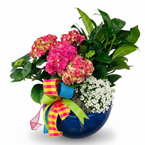 The Summer Hydrangea Planter Bowl features pink hydrangeas, white flowers, and greenery in a blue bowl with bright ribbons—an elegant arrangement by your Clayton florist. Ideal for any occasion or flower delivery in Clayton, NC.