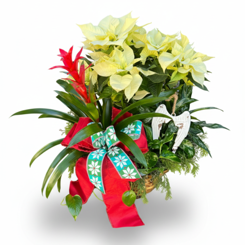 The Holiday Peace Planter Basket features pale yellow poinsettias, a red bromeliad, lush green foliage, a large red and blue bow, and a white angel ornament arranged beautifully against a white background.