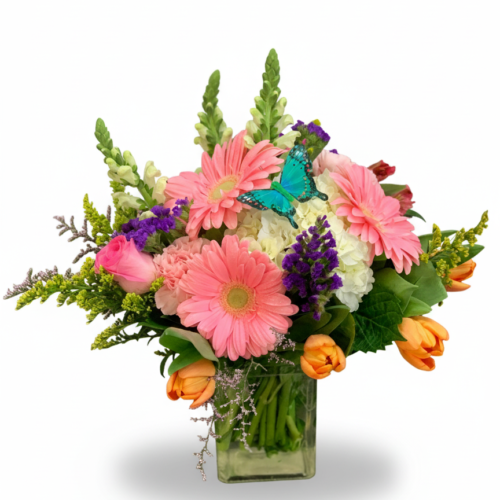 The Spring Butterfly Cube features pink gerbera daisies, orange tulips, white hydrangeas, purple blooms, greenery, and a blue butterfly in a glass vase. Handcrafted by your Clayton florist—perfect for flower delivery in Clayton NC.