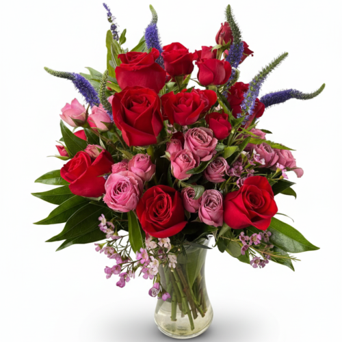 Crimson Radiance features red and pink roses with purple accents and green leaves in a clear glass vase—perfect for Flower Delivery in Clayton, NC from The Florist at Plantation.