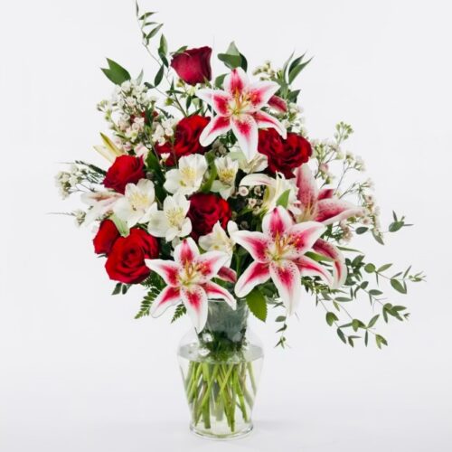 Red Velvet Elegance, a clear glass vase with red roses, pink stargazer lilies, white blooms, and lush greenery—artfully arranged by The Florist at Plantation, your trusted Clayton florist—set on a plain white background.