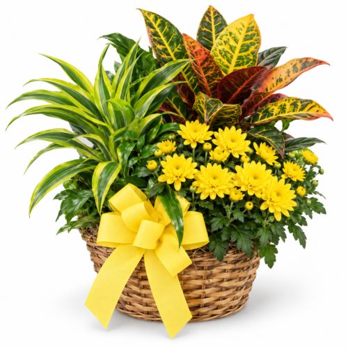 Triple Plant Basket