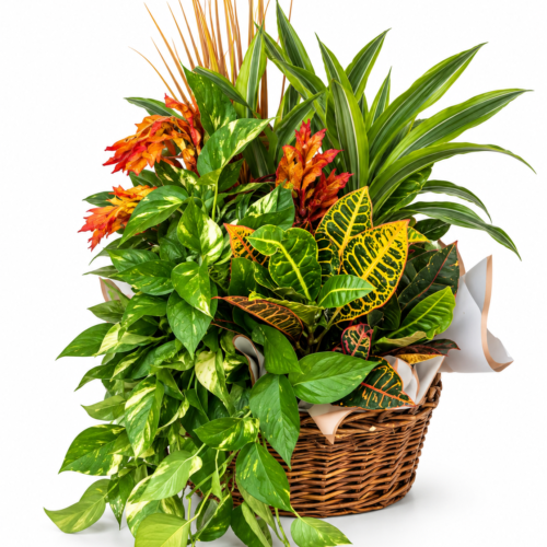 Everlasting Triple Garden Basket