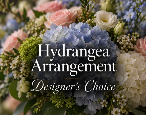 Hydrangea Arrangement Designer's Choice