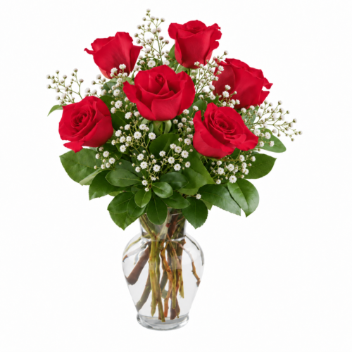 6 red roses in a vase with babys breath by clayton nc florist